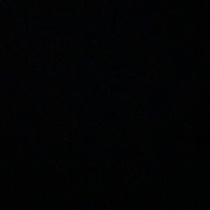 Meet your Posher, Nora